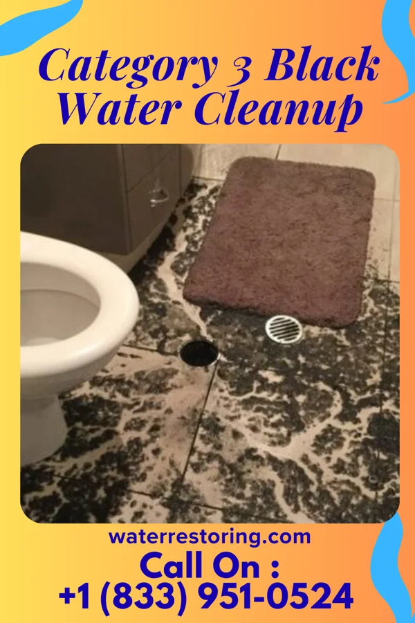 Category 3 Black Water Cleanup in Milaca, MN