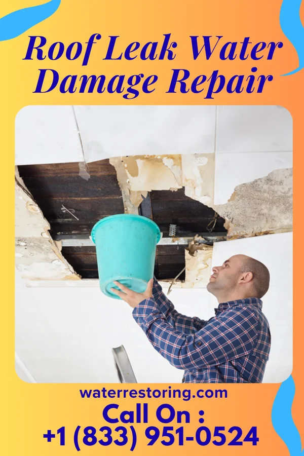 Roof Leak Water Damage Repair in Milaca, MN