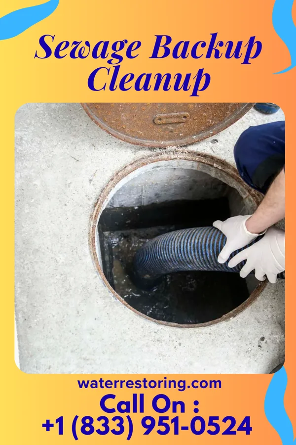 Sewage Backup Cleanup in Milaca, MN