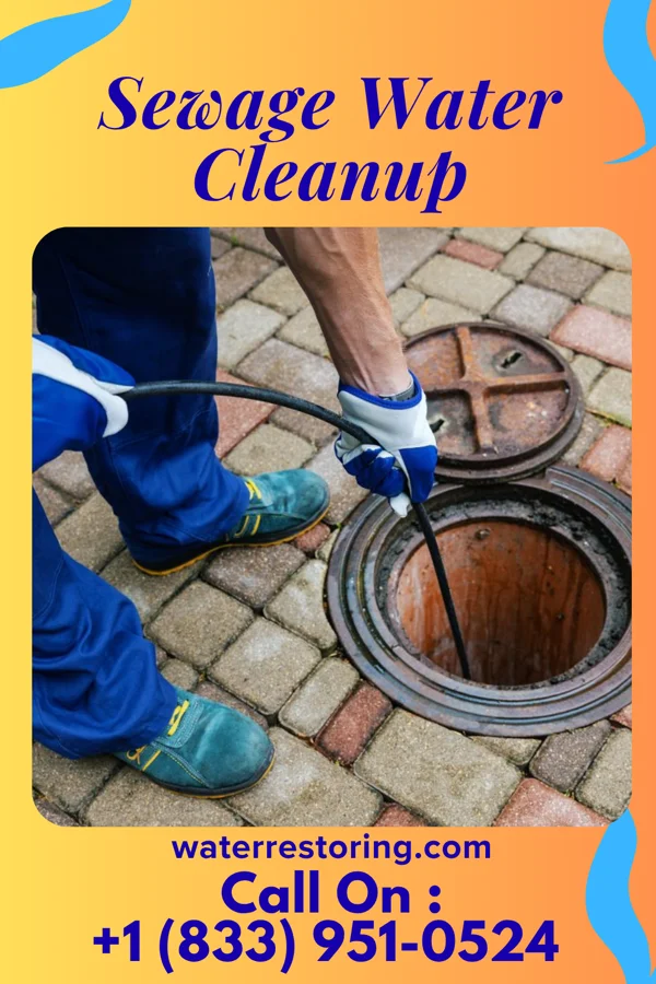 Sewage Water Cleanup in Milaca, MN